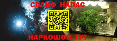 spice Пенза